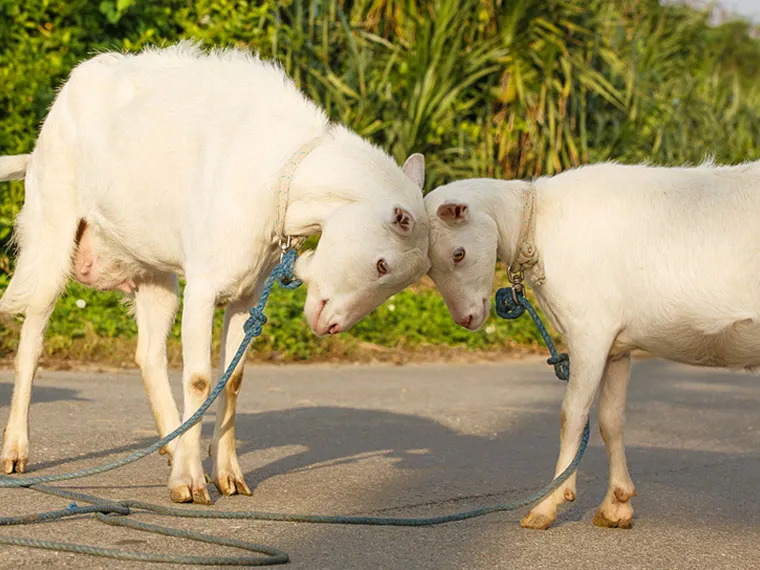 お知らせ｜【テスト】株式会社南西環境研究所
