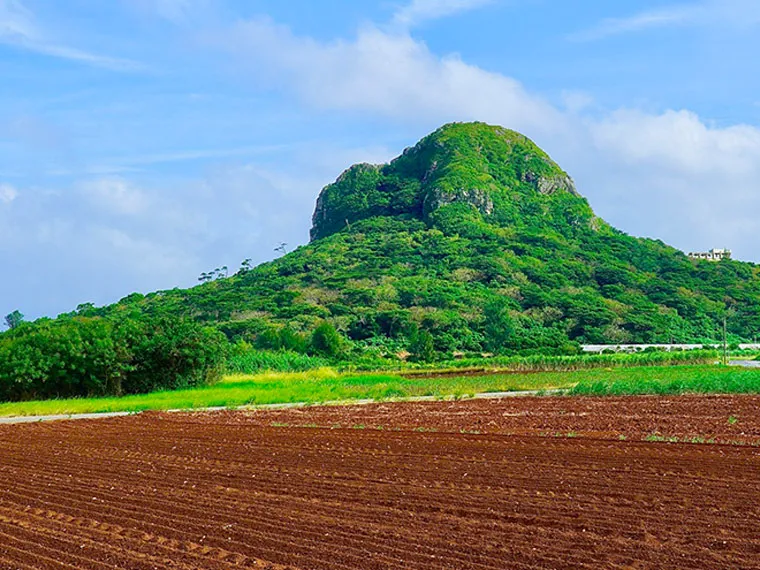 SDGs｜【テスト】株式会社南西環境研究所
