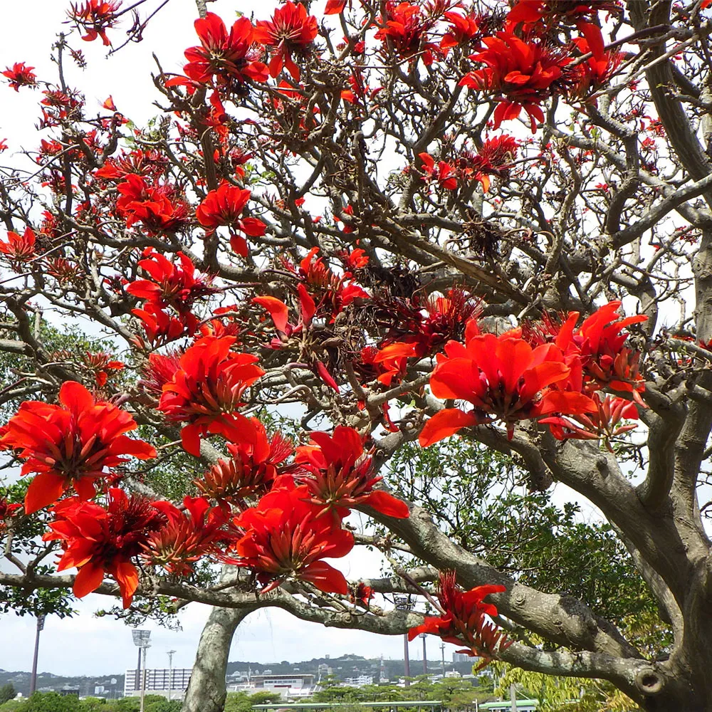 緑化関連計画の立案img1｜【テスト】株式会社南西環境研究所