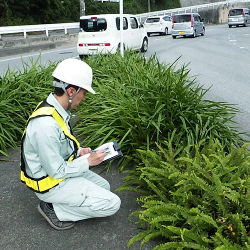緑化関連計画の立案img3｜【テスト】株式会社南西環境研究所