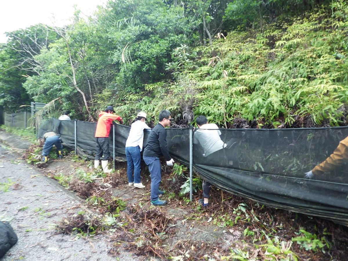 エコロード計画の立案img1｜【テスト】株式会社南西環境研究所