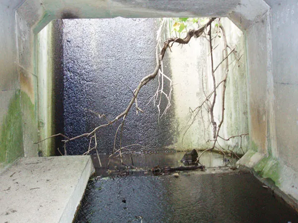 エコロード計画の立案img1｜【テスト】株式会社南西環境研究所