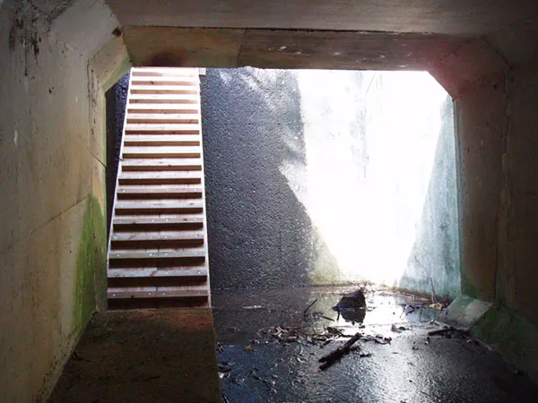 エコロード計画の立案img2｜【テスト】株式会社南西環境研究所