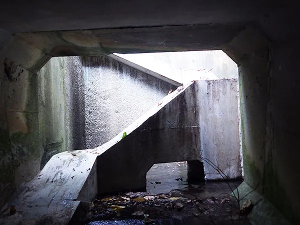 エコロード計画の立案img2｜【テスト】株式会社南西環境研究所