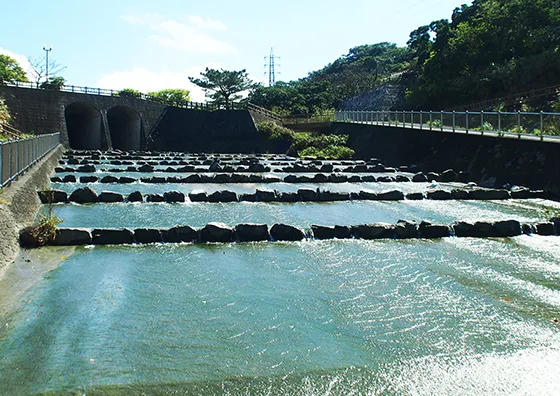 水質、底質調査img2｜【テスト】株式会社南西環境研究所