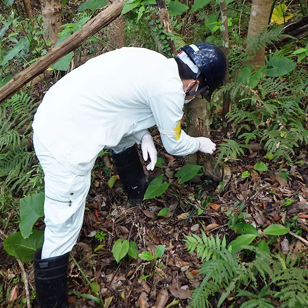 自然環境調査slide5｜【テスト】株式会社南西環境研究所