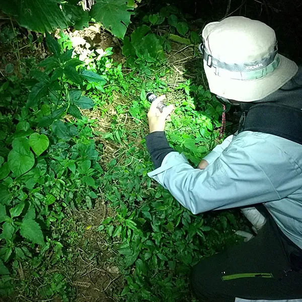 自然環境調査slide6｜【テスト】株式会社南西環境研究所