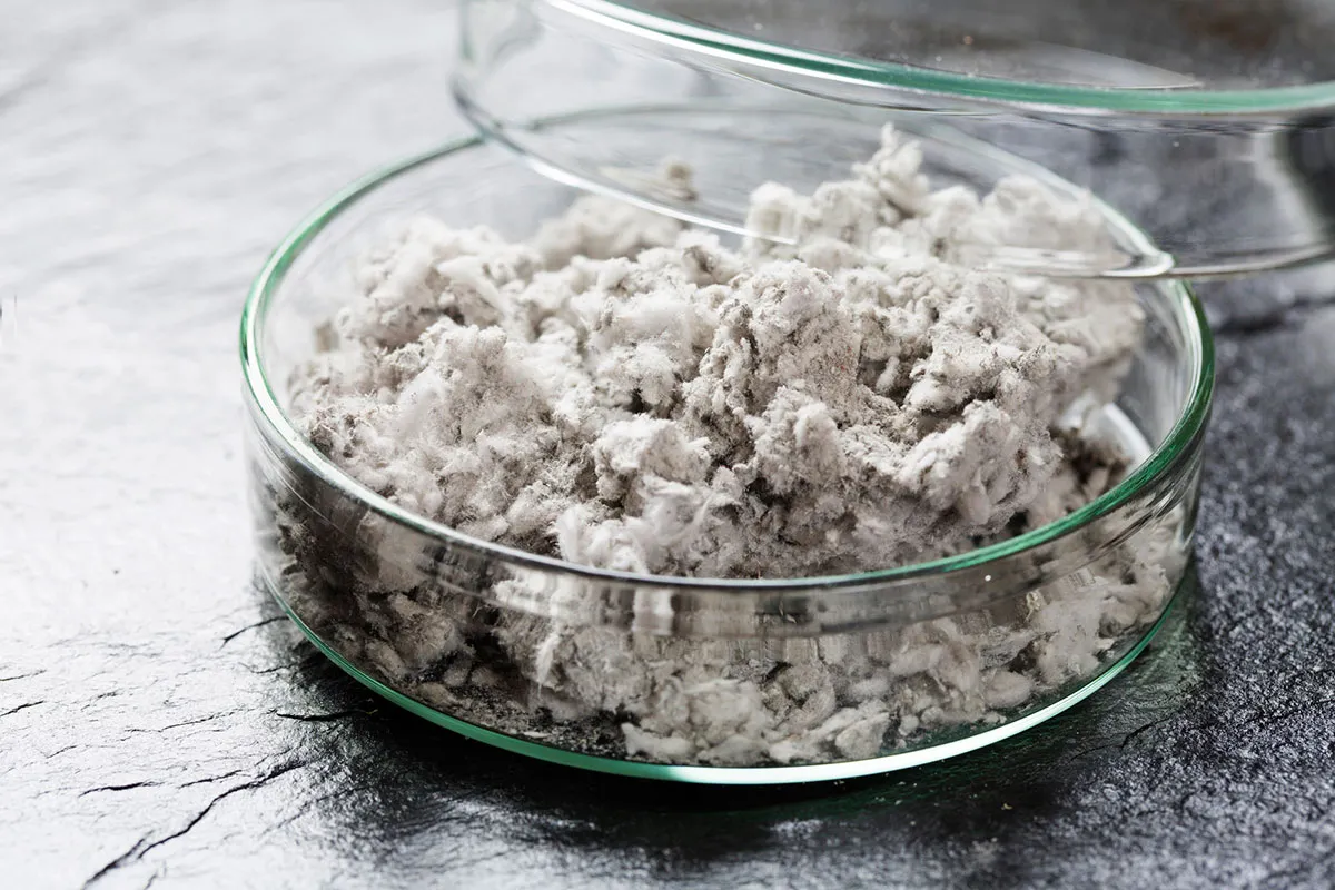 作業環境測定・アスベスト｜【テスト】株式会社南西環境研究所