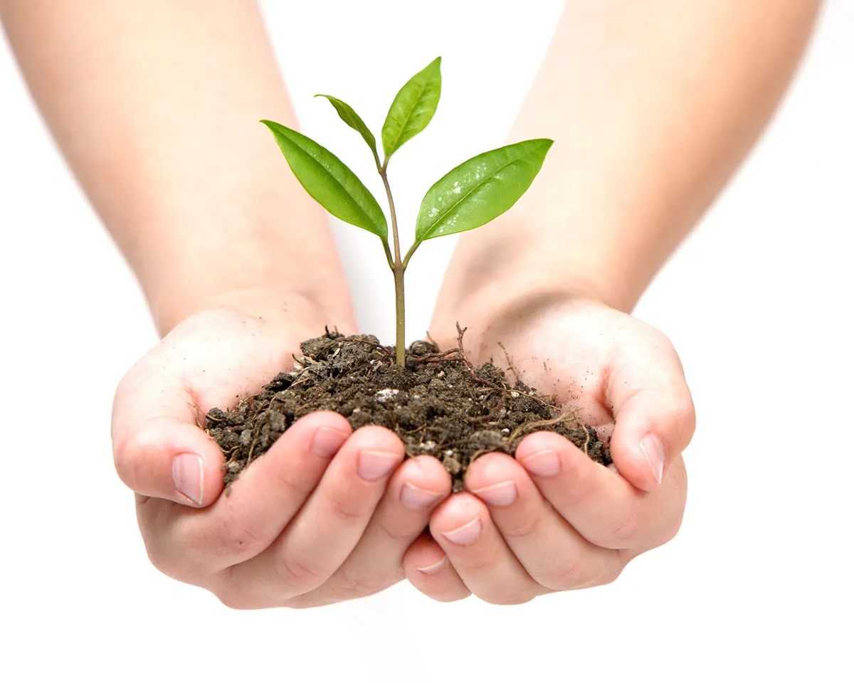 土壌汚染img1｜【テスト】株式会社南西環境研究所