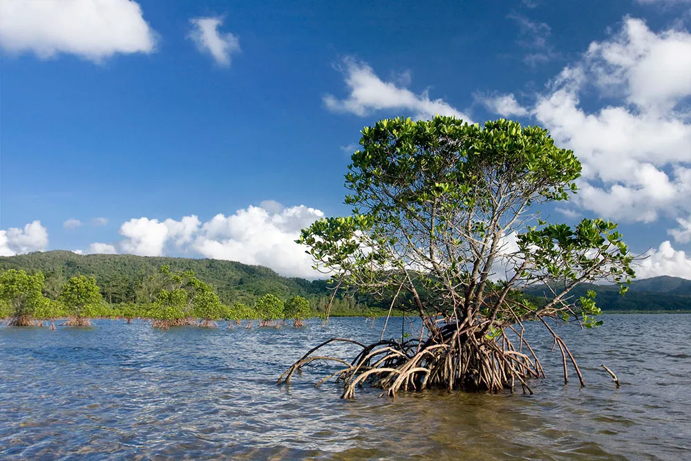 各種法令に係わる環境アセスメントimg2｜【テスト】株式会社南西環境研究所