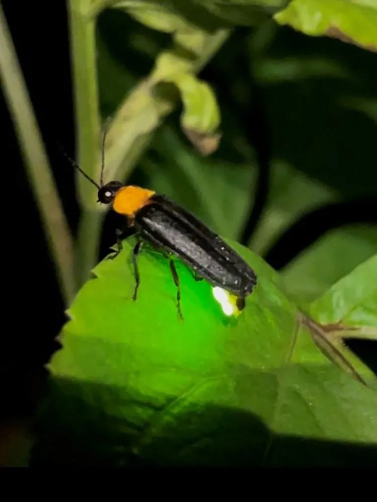 環境アセスメントslide2｜【テスト】株式会社南西環境研究所