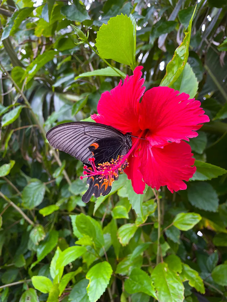 環境アセスメントslide4｜【テスト】株式会社南西環境研究所