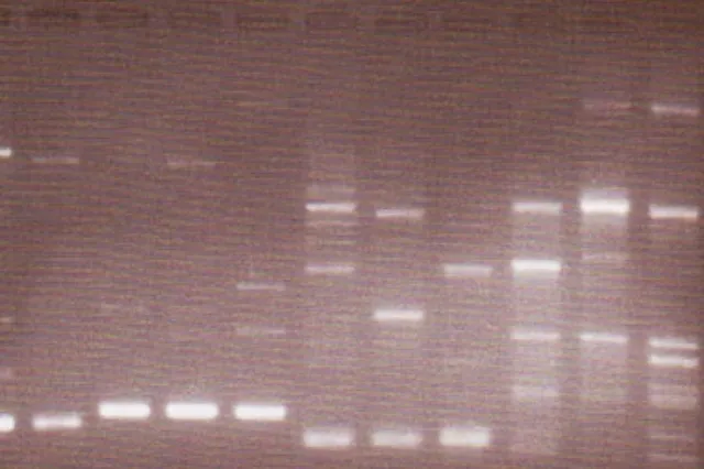 研究・開発img2｜【テスト】株式会社南西環境研究所