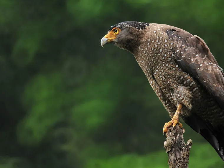 お知らせ｜【テスト】株式会社南西環境研究所