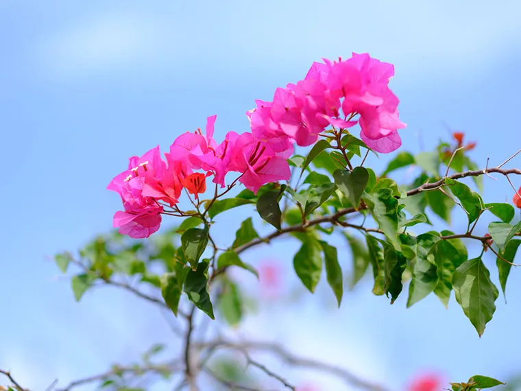 SDGs｜【テスト】株式会社南西環境研究所