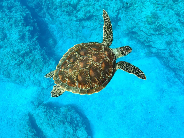 採用情報｜【テスト】株式会社南西環境研究所