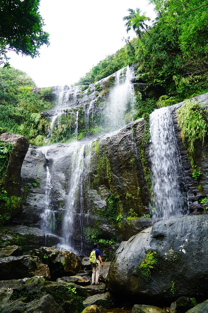 資格保有数と実績01｜【テスト】株式会社南西環境研究所