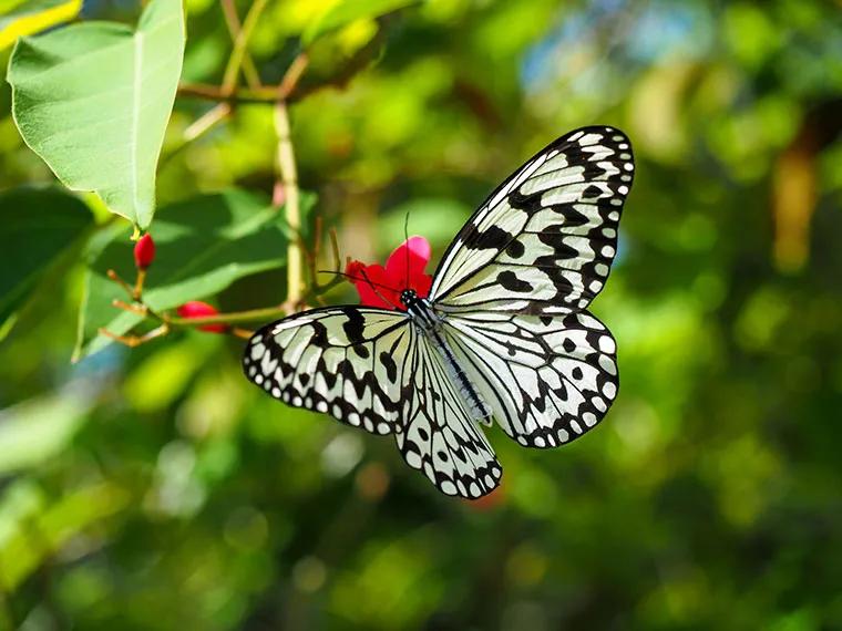お問い合わせ｜【テスト】株式会社南西環境研究所
