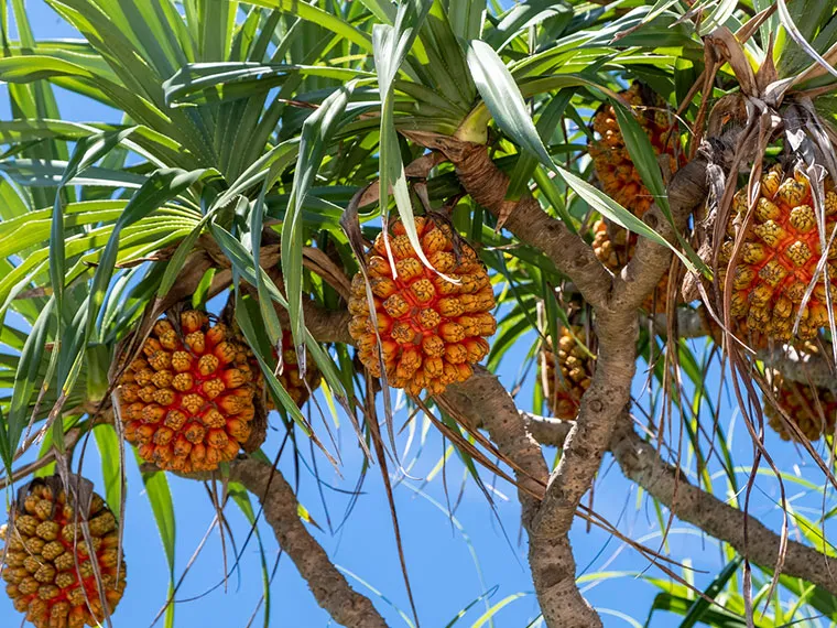 関連リンク｜【テスト】株式会社南西環境研究所