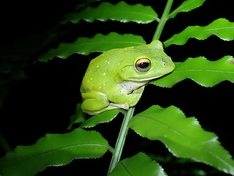 個人情報保護方針｜【テスト】株式会社南西環境研究所
