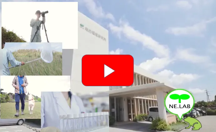 南西環境研究所のイメージ動画を作成しました
