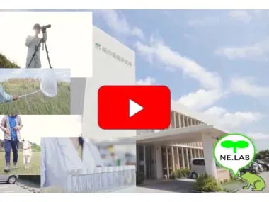 南西環境研究所のイメージ動画を作成しました！